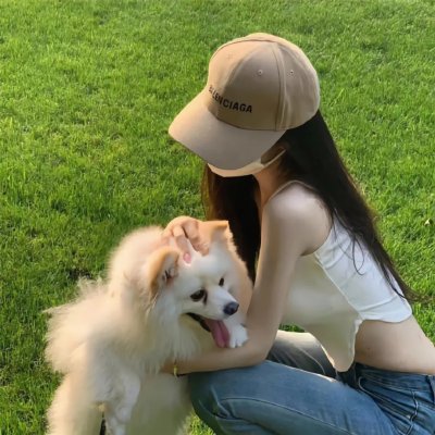 新沙洞燕子