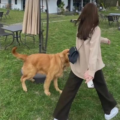 追凶双雄